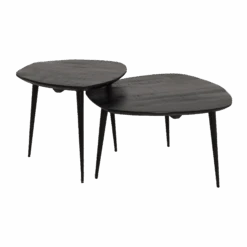 Table Basse Gigogne En Bois De Manguier Noir Valério